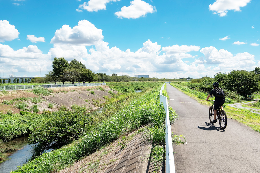 富士見江川サイクリングコース